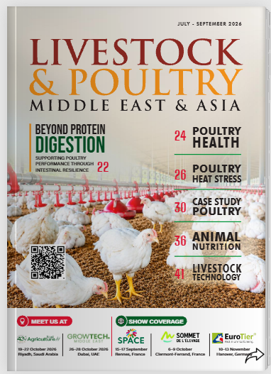 Thailand's Poultry Export Industry Eyes New Opportunities in the Middle East and Beyond